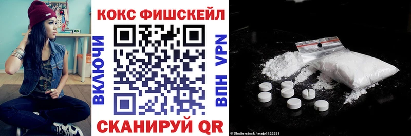 Cocaine Fish Scale  мега ССЫЛКА  Сунжа 