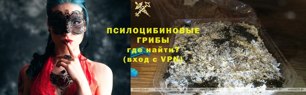 дмт Горняк