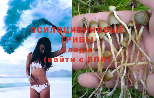 дмт Горняк