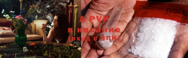 амф Горно-Алтайск