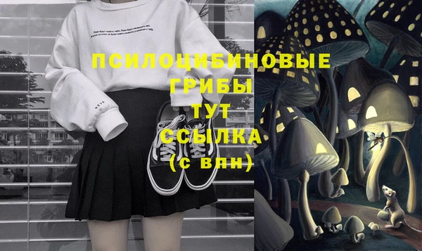 амф Горно-Алтайск