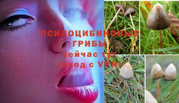 дмт Горняк