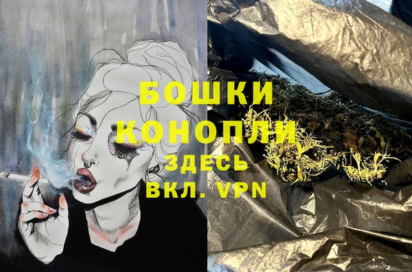 дмт Горняк