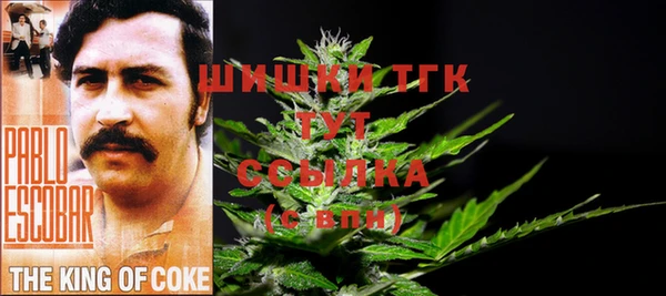 амф Горно-Алтайск