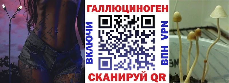 Псилоцибиновые грибы MAGIC MUSHROOMS  гидра ONION  Сунжа  цена наркотик 